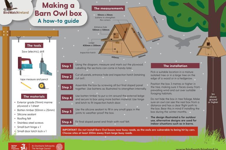 BirdWatch Ireland Barn DIY Owl Box Leaflet