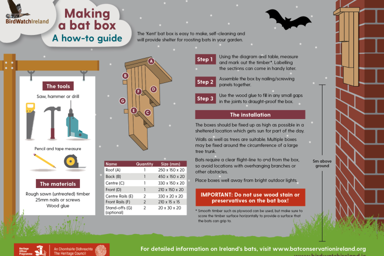 BirdWatch Ireland's Making a Bat Box leaflet